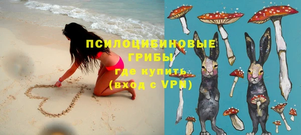 Альфа ПВП Алексин