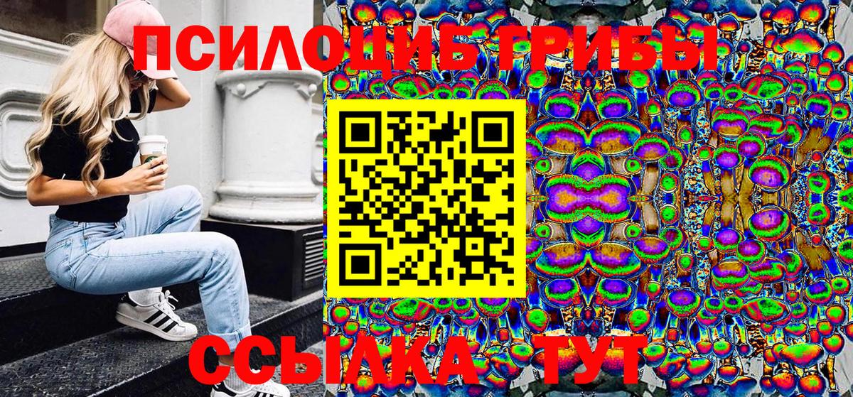 Галлюциногенные грибы GOLDEN TEACHER Владивосток