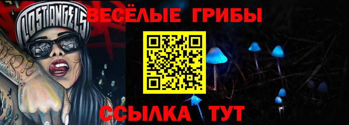 что такое наркотик  Псилоцибиновые грибы Psilocybe  Вход с VPN  Владивосток 